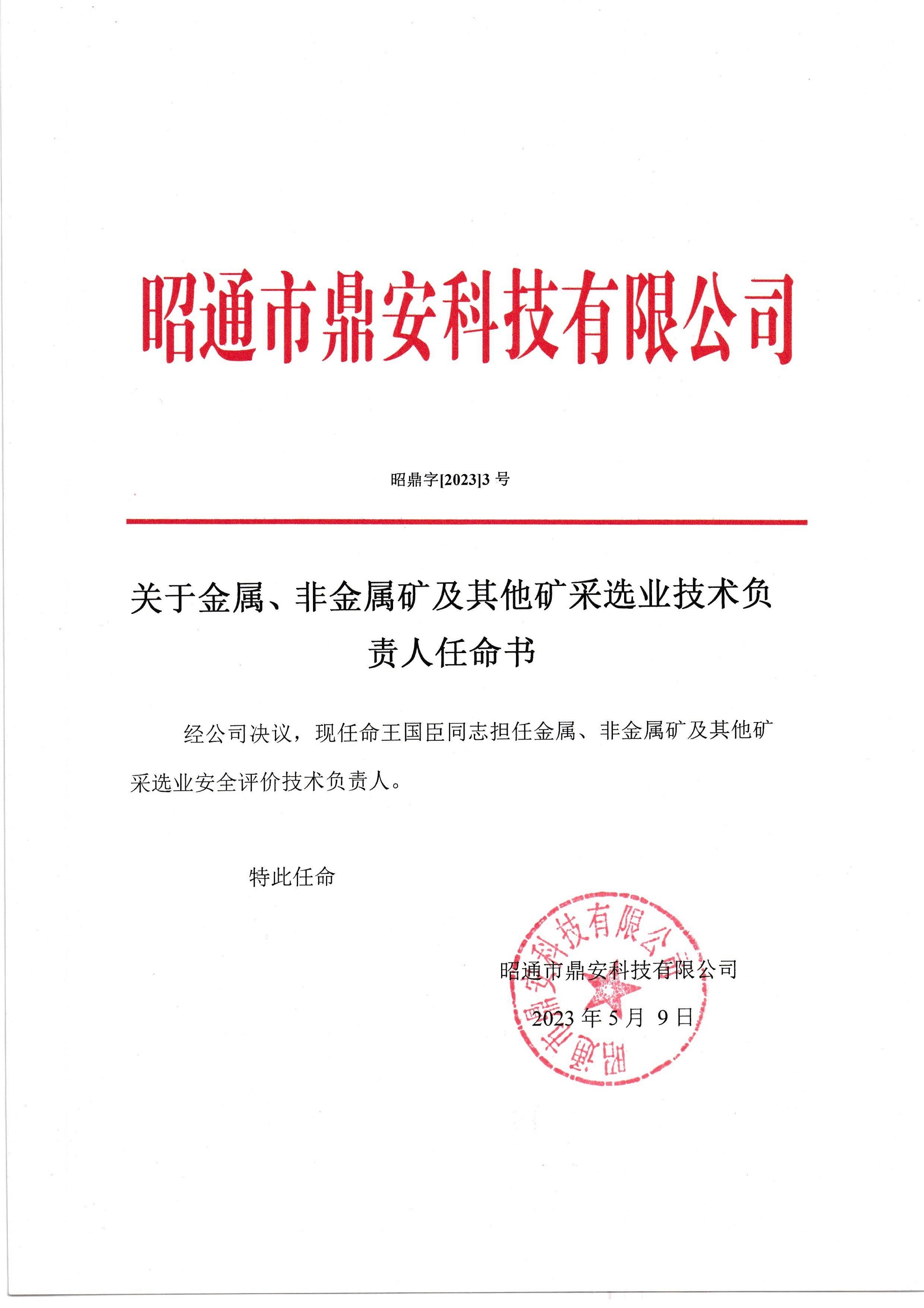 關(guān)于金屬、非金屬礦及其他礦采選業(yè)技術(shù)負(fù)責(zé)人任命書-王國臣_2.jpg